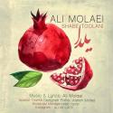 Ali-Molaei-Shabe-Toolani-Yalda-MP3