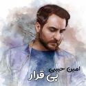 Amin-Habibi-Bigharar