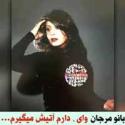 download-(11)4