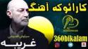 gharibe-siavashghomeishi